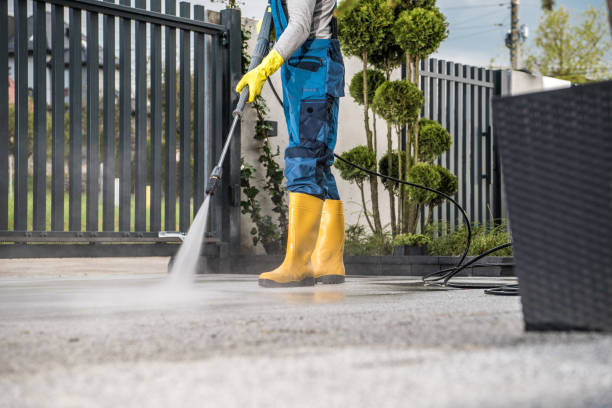 Best Pool Deck Cleaning  in Lanse, MI